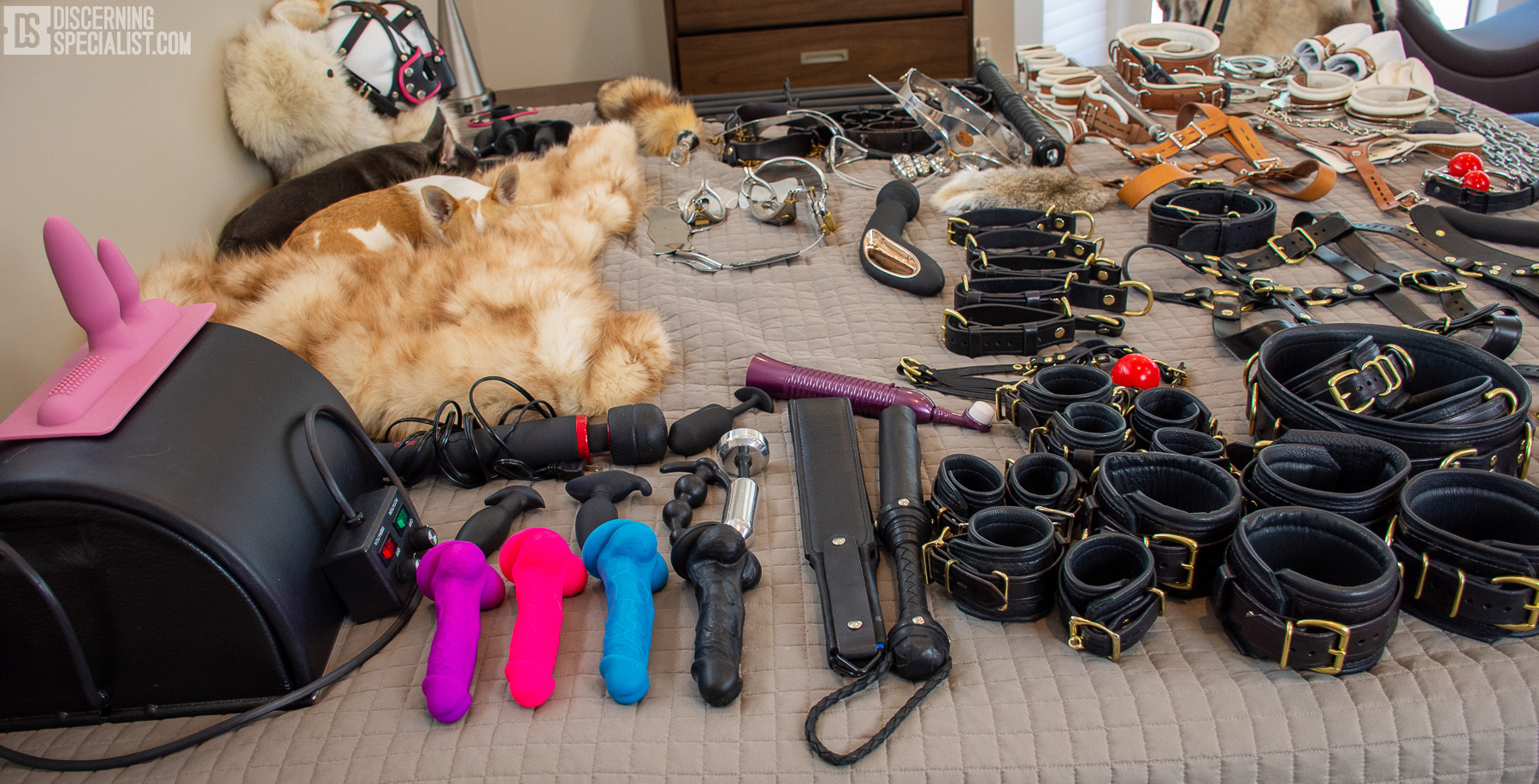 submissive sex toys Bondage set 25 Pcs|BDSM Sex Toys|Restraint Set|Ankle cuffs|Collar & Leash| Submissive Dominant| Mouth Gag|bondages for women|Black main image 0