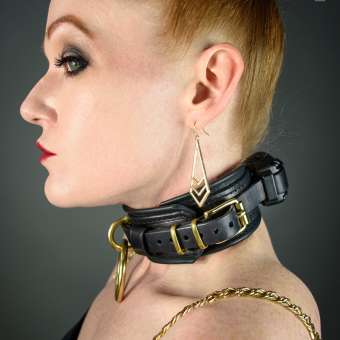 DSG - Leather Shock Collar - Discerning Specialist
